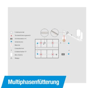 Multiphasenfütterung